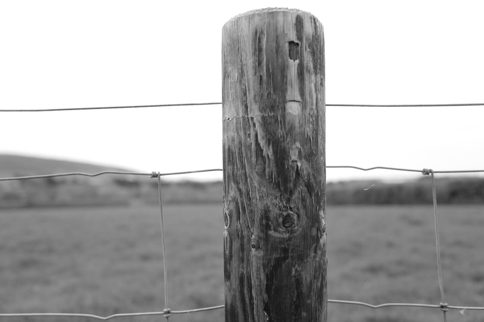 Braunton Fence Repairs